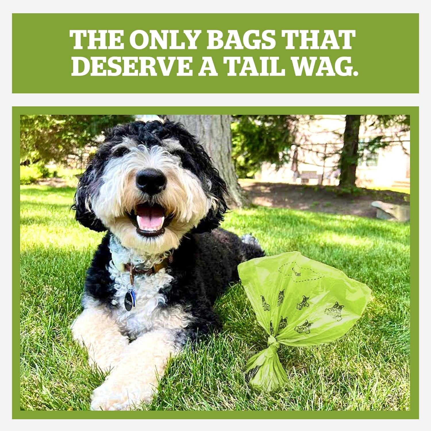 Pogi’S Dog Poop Bags – Leak-Proof & Extra Thick Pet Waste Bags